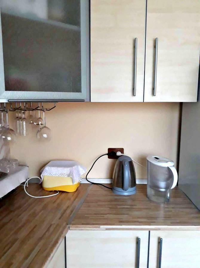 Apartment In The Historical City Center Chernivtsi Ngoại thất bức ảnh